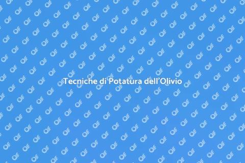 Potatura Professionale dell'Olivio