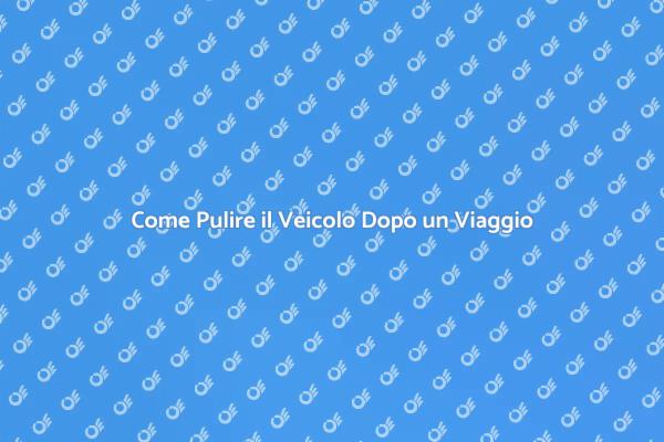 Rendi Splendido il Tuo Veicolo Dopo un Viaggio