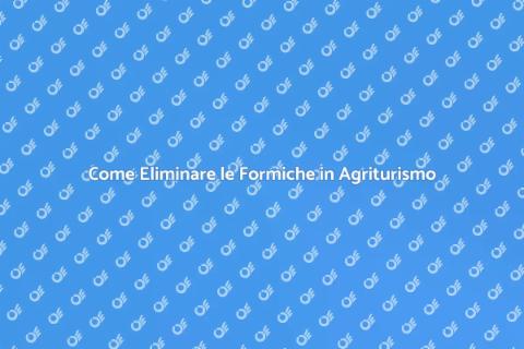 Disinfestazione Formiche Agriturismo