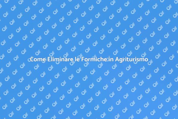 Disinfestazione Formiche: Guida Pratica