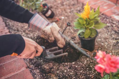 Lavori di giardinaggio - accortezze, costi e consigli