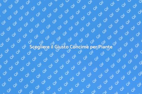 Acquistare il Concime per Piante