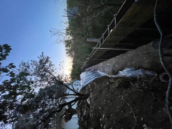 Nicolo G. - Foto 9