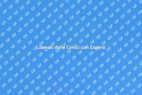 Assumere un Professionista per Cimici