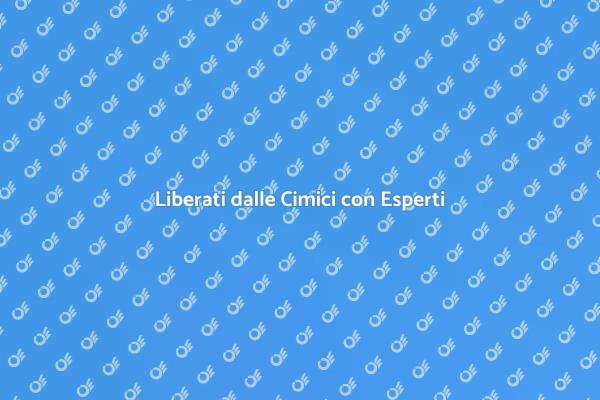 Perché Assumere Esperti contro le Cimici