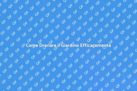 Drenaggio in Giardino: Guida Pratica
