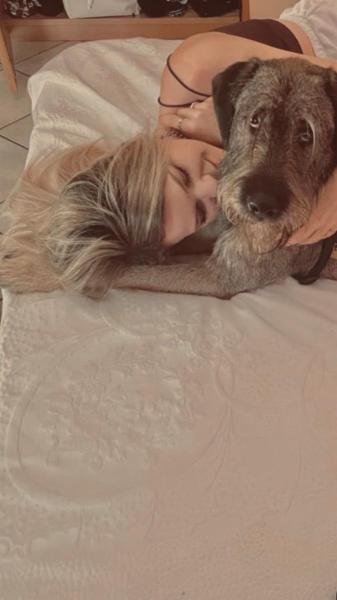 Sha’s home - Foto 1