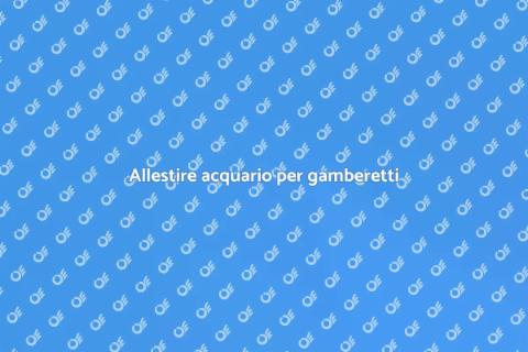 Acquario ideale per gamberetti