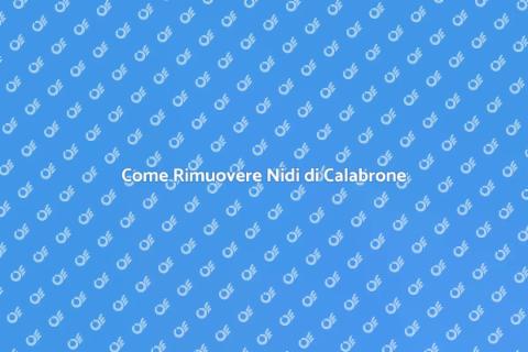 Rimuovere Nidi di Calabrone Sicuramente