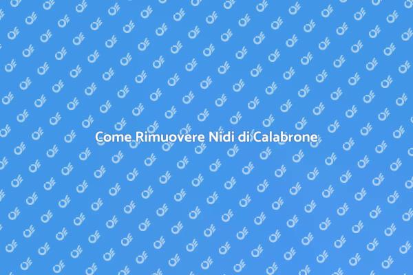 Rimozione Sicura dei Nidi di Calabrone