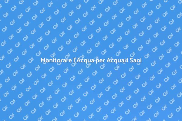 Come Mantenere l'Acqua dell'Acquario Sana
