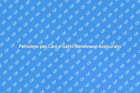 Pensione per Cani e Gatti: Comfort
