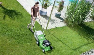 Fratelli Spinazze' - Stihl, Viking  - Foto 4