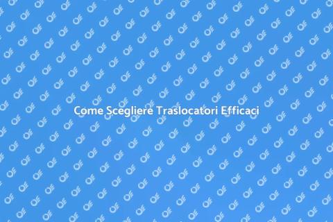 Traslocatori Professionali: Guida Completa