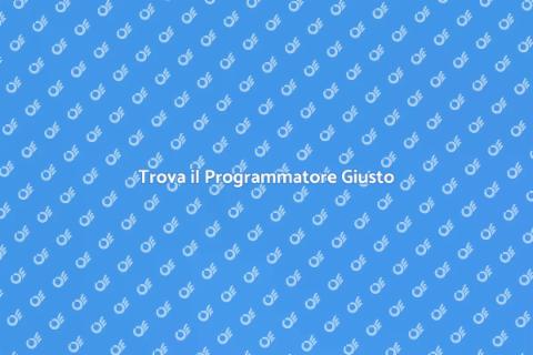 Assumere un Programmatore Esperto