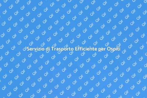 Trasportare Ospiti in Loco Efficiente
