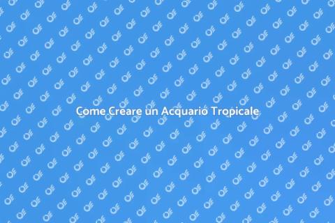 Acquario per Pesci Tropicali: Guida