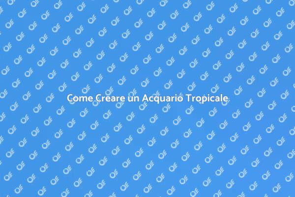 Allestisci il Tuo Acquario Tropicale