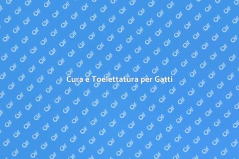 Toelettatura Professionale per Gatti