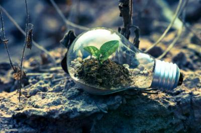 Eco-friendly: sette idee per la quotidianità