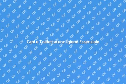 Toelettatura Cani: Igiene e Benessere