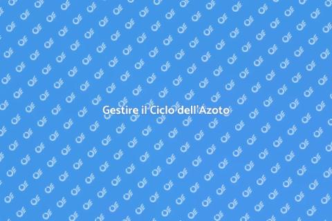 Consulenza sul Ciclo dell'Azoto