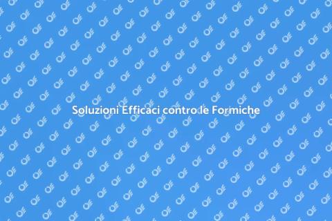 Liberati dalle Formiche Ora
