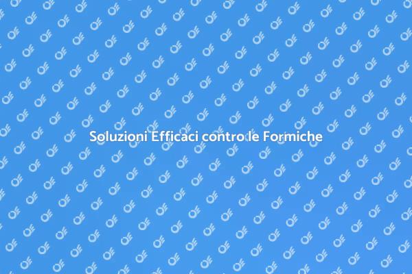 Intervento Professionale contro le Formiche