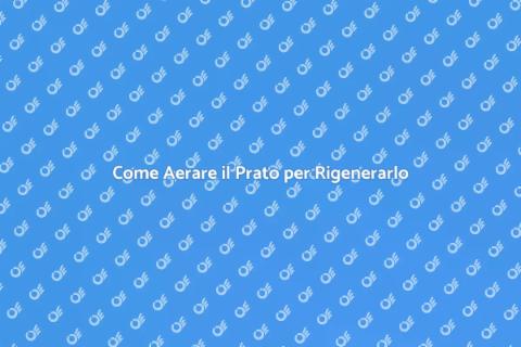 Aerare il Prato per la Sua Salute