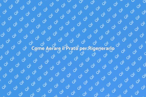 Ripristina la Bellezza del Tuo Prato