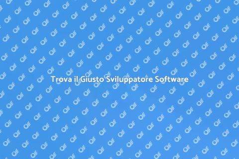 Ingaggiare Sviluppatore Software Efficace
