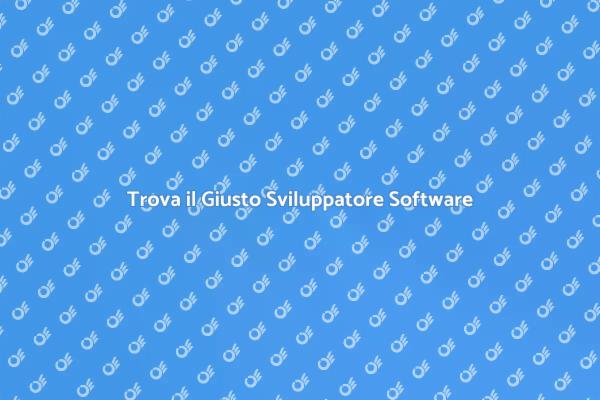 Sviluppatori Software: Il Tuo Partner Ideale