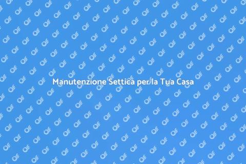 Servizio Settico: Manutenzione Essenziale