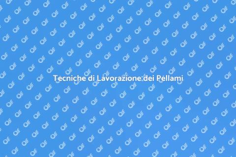Lavorazione Pellami: Arte e Tradizione