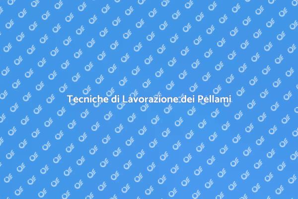 Arte della Lavorazione dei Pellami