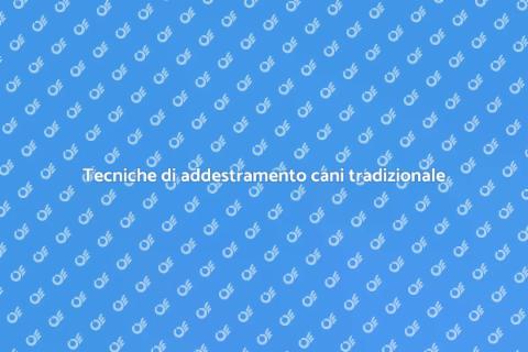 Addestramento cani: metodo tradizionale