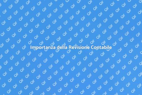 Revisione Contabile per la Tua Azienda