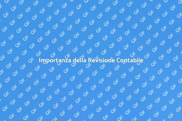 Revisione Contabile: Salute Finanziaria Aziendale