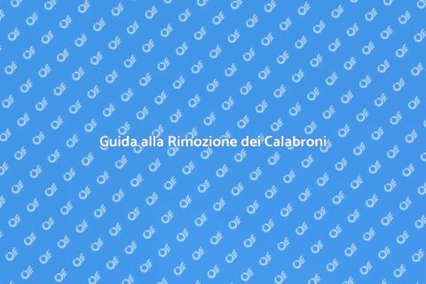 Rimuovere i Nidi di Calabrone Facile