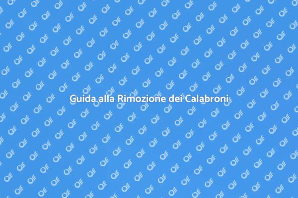 Liberati dai Nidi di Calabrone