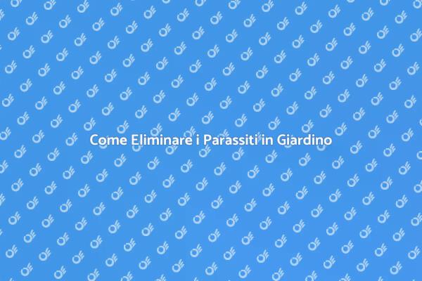Soluzioni Efficaci contro i Parassiti