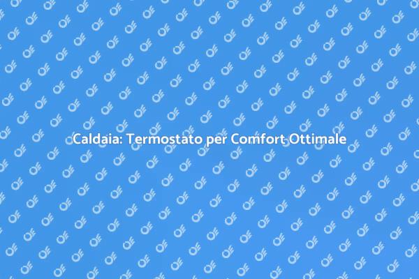 Comfort Domestico con Termostato Intelligente