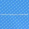 Cemento o Calcestruzzo: Quale Scegliere?