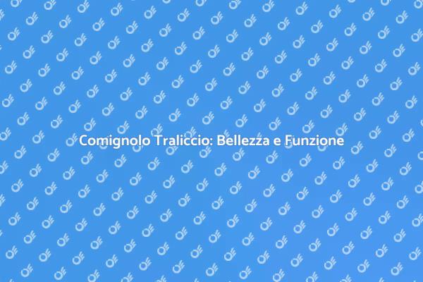 Scegliere il Comignolo Perfetto