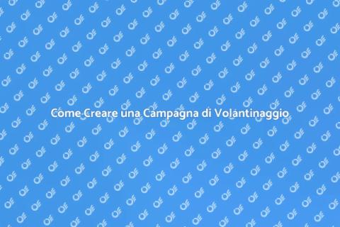 Volantinaggio: Organizza una Campagna