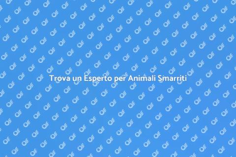 Assumere un Esperto per Animali