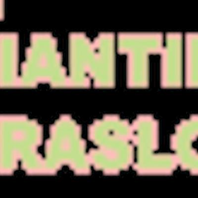 Piantino Traslochi