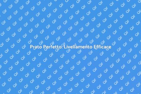 Livellamento Professionale del Prato