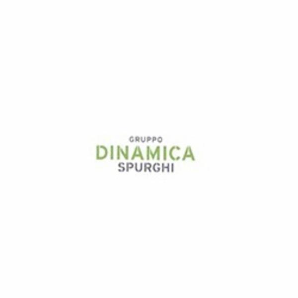 Dinamica Spurghi  - Foto 1