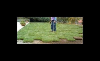 Eden Idea  - Foto 3